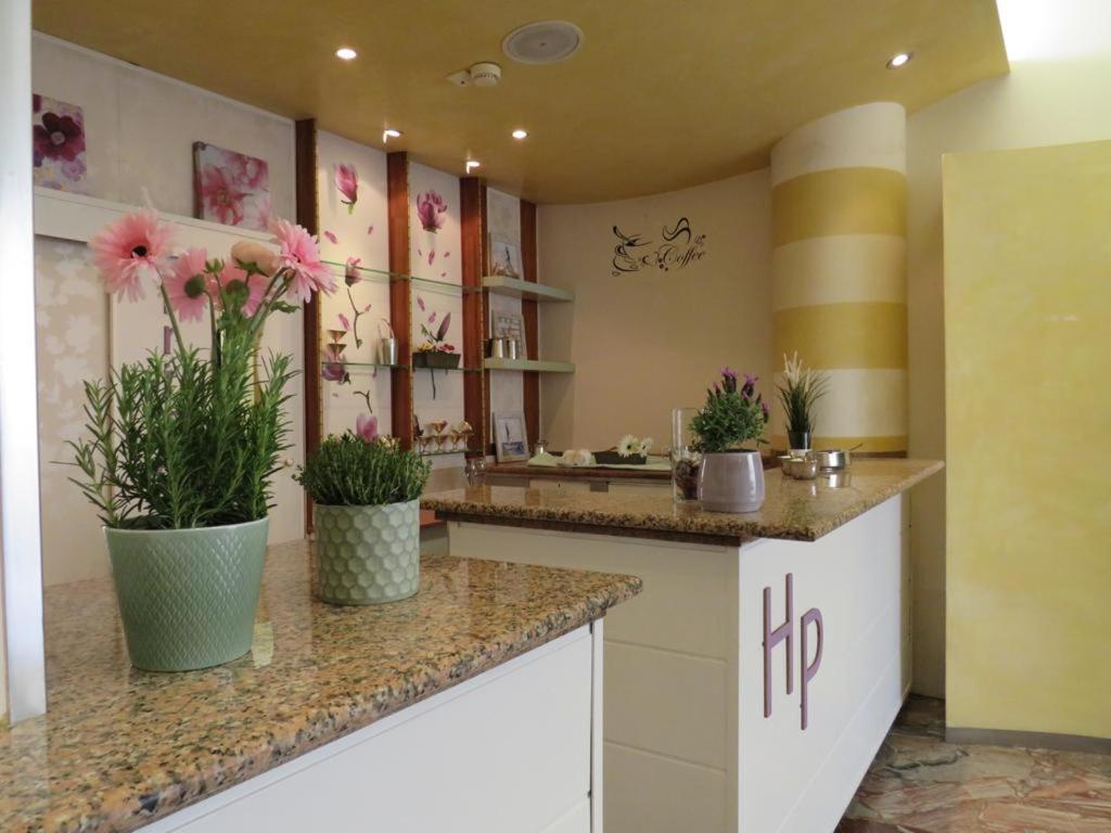 Hotel Primula Cesenatico Extérieur photo